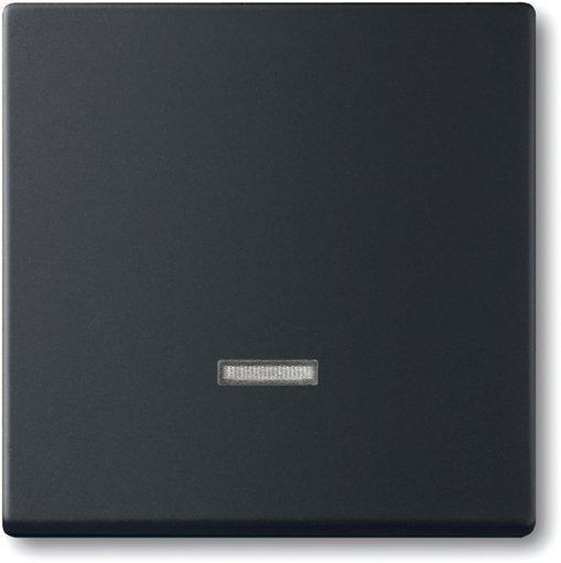 Bedienelement mit Glimmlampe für Memory-Taststeuergerät schwarz matt 