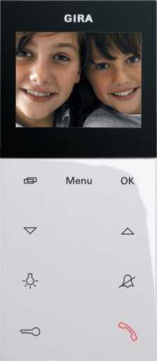 Wohnungsstation Video AP Plus System 55 reinweiß 