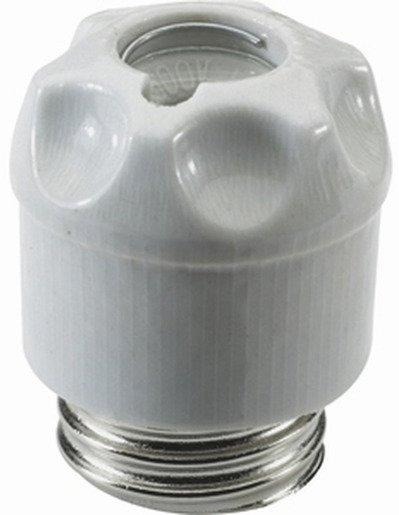 DIAZED Schraubkappe DII E27 25A 500VAC/500VDC mit Edelstahleinsatz aus Porzellan 