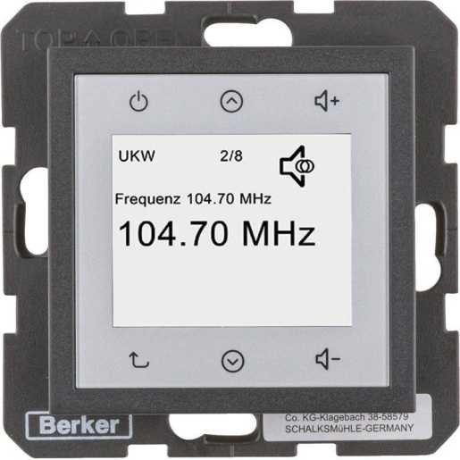 Radio Touch DAB+ anthrazit matt S.1/B.x 