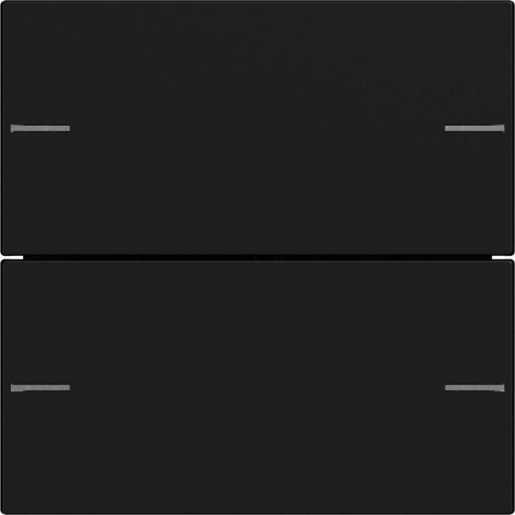 Wippenset 2-fach für Tastsensor 4 System 55 Schwarz matt 