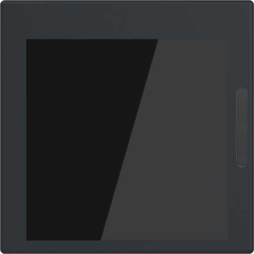 Display 2,4 