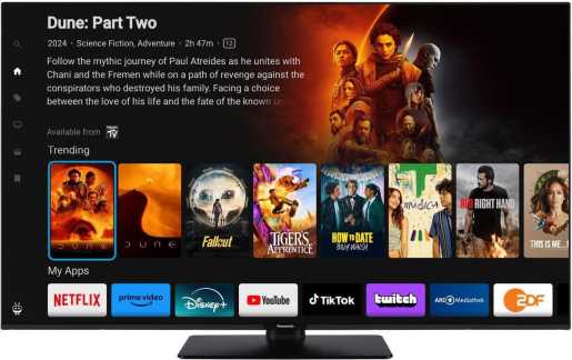 Fernseher 4K LED Ultra HD TV TB-65W60AEZ 