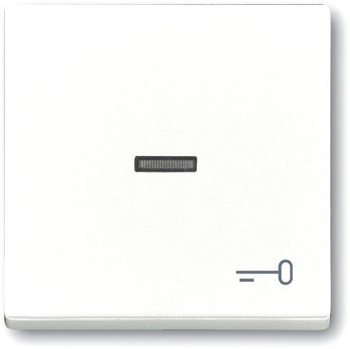 Wippe für Unterputz Taster Symbol Schlüssel studioweiß glänzend 