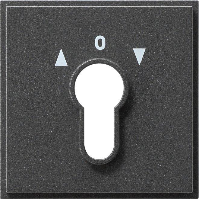 Abdeckung Schlüsselschalter für TX_44 (WG UP) anthrazit 