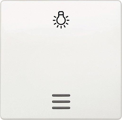 Wippe I-System mit Fenster und Symbol Licht titanweiß 