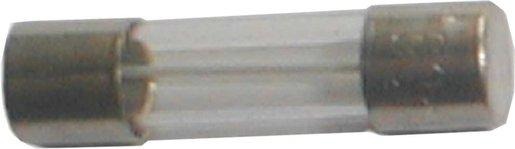 G-Sicherung träge 5x20mm 250V L 0,8A 