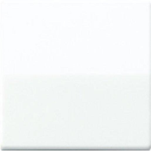 Wippe Zentralplatte bruchsicher für Wippschalter Tastschalter / Taster 