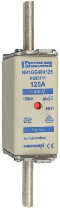 NH-Sicherung gG Gr.1 400VAC 224A mit spannungsführenden Grifflaschen 