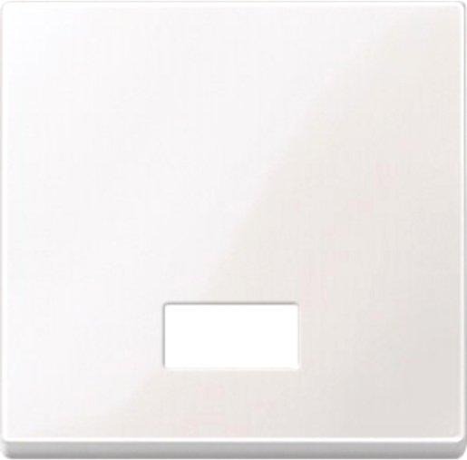 Wippe mit rechteckigem Symbolfenster polarweiß glänzend 