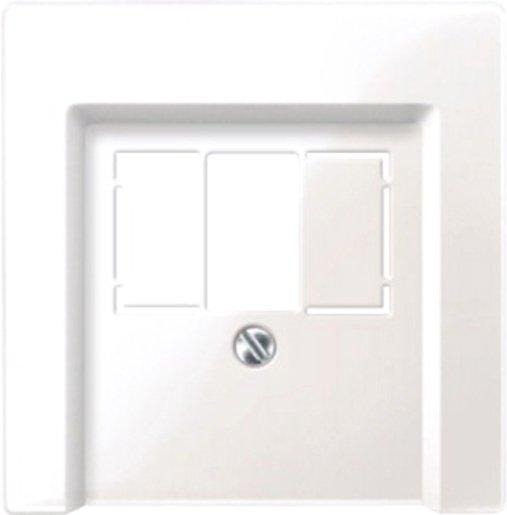 Zentralplatte für TAE/Audio/USB polarweiß glänzend 