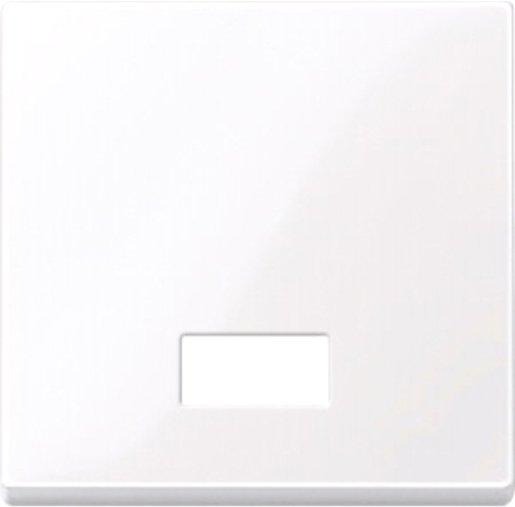 Wippe mit rechteckigem Symbolfenster aktivweiß glänzend 