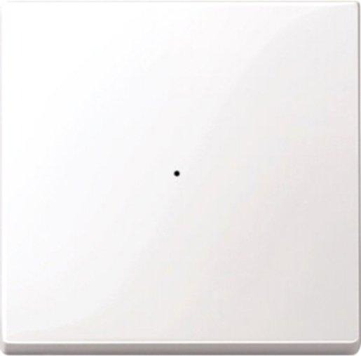 Wippe für Tastermodul 1-fach polarweiß glänzend 