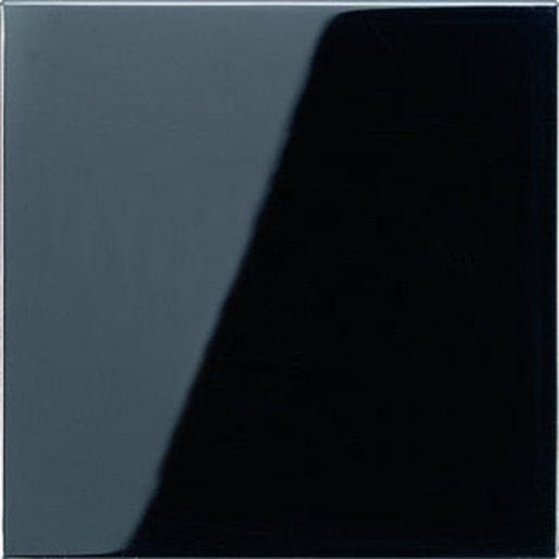 Wippe für Wippschalter Tastschalter Taster und Taster BA 1-fach schwarz 