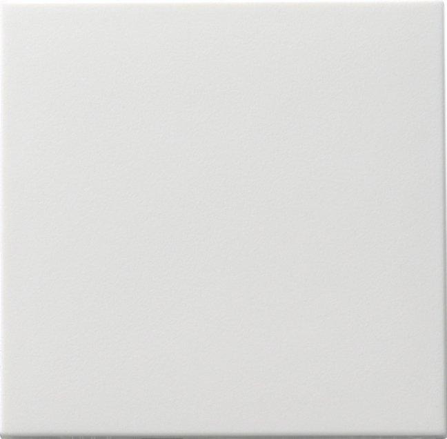 Wippe Tastschalter Wechsel System 55 reinweiß 