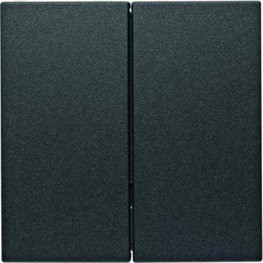 Taste 2-fach S.1 / B.X anthrazit matt 