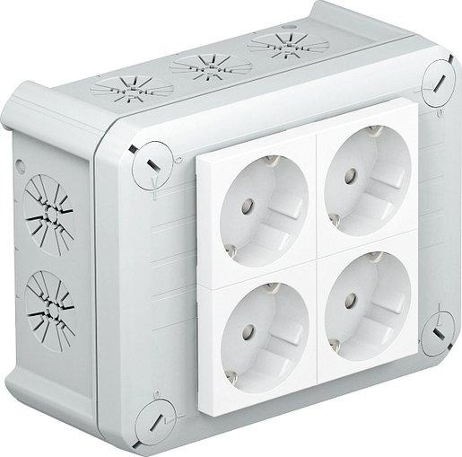 Kabelabzweigkasten 4 Schuko Steckdosen 33°,151x117x67,PP,ligr.RAL7035 