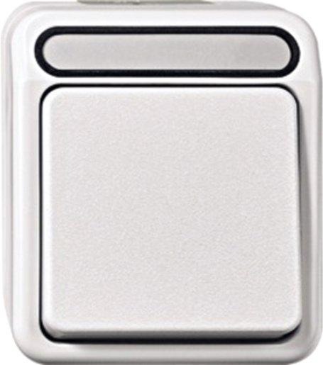 Aus-Wechsel-Kontrollschalter 1‑polig 10 AX AC 250 V lichtgrau Aquastar 