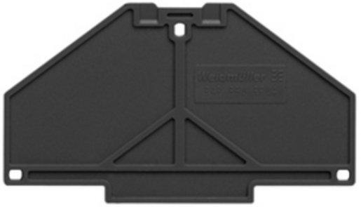 Abschlussplatte (Klemmen) Abschlussplatte 70 x 3 mm schwarz 