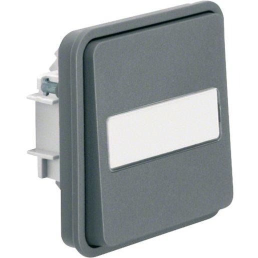 Taster Einsatz Schließer mit Wippe AP / UP 