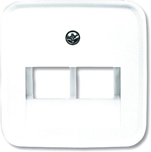 Zentralscheibe für UAE-Anschlussdosen 2-fach 