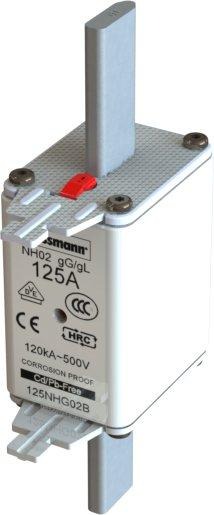 Sicherungseinsatz Niederspannung 125 A AC 500 V NH02 gL/gG IEC 