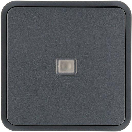 Wippe mit Beschriftungsfeld KNX grau 