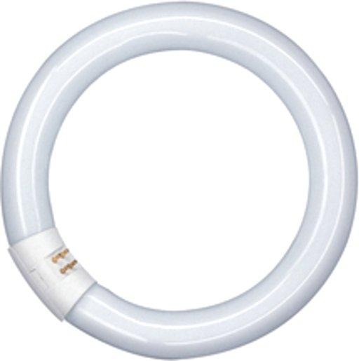 Leuchtstofflampe Ringform T9 L 40W 840 C G10Q 