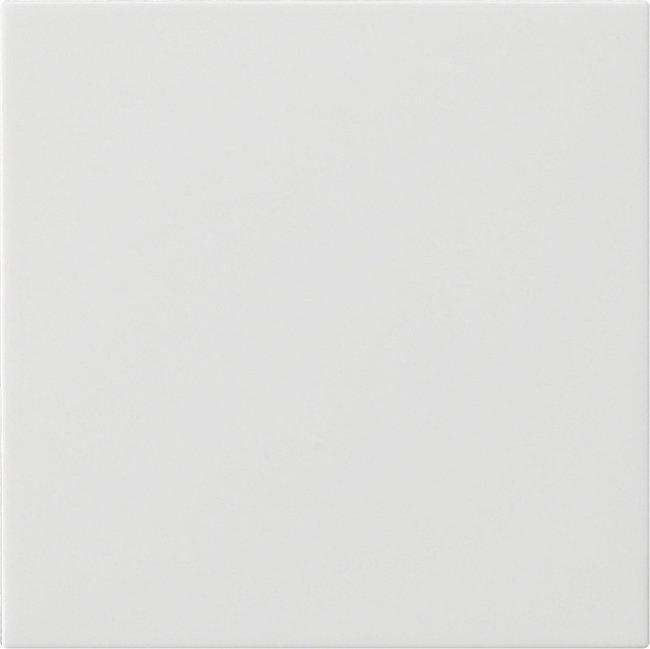 S3000 Bedienaufsatz für System 55 reinweiß glänzend 