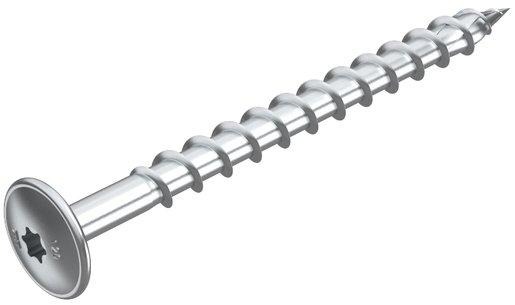 Tellerkopfschraube HT 10x80 TD 