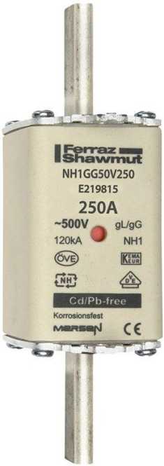 NH-Sicherung gG Gr.1 500VAC/250VDC 250A mit spannungsführenden Grifflaschen 