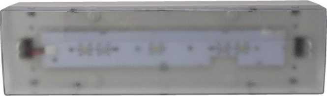 Sicherheitsleuchte Rettungsweg LED CGLine+ ISO7010 