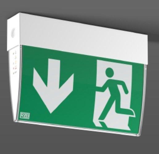 LED Sicherheitsleuchte EXEO D 4W 3h Dauer/Bereitschaftsschaltung 