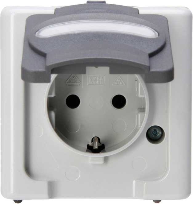 BLUE ELECTRIC Schutzkontakt-Steckdose mit Klappdeckel Farbe grau 