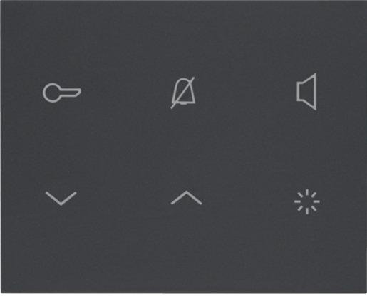 Innenstation Audio AP 2-Draht anthrazit matt TOUCH 