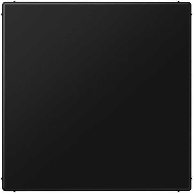 Blind-Abdeckung (verrastet) Serie LS graphitsw matt 