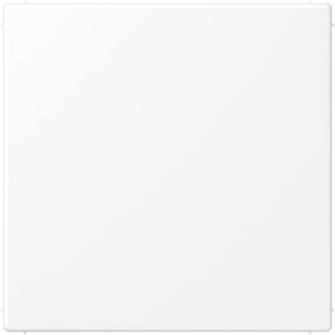 Blind-Abdeckung (verrastet) Serie LS schneeweiß matt 