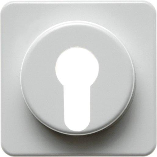 Zentralstück für Schlüsselschalter/-taster wg Up IP44 polarweiß 