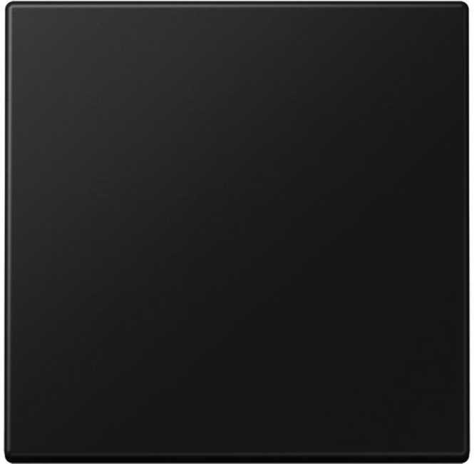 Steuertaste Standard, Duroplast lackiert, Serie LS, graphitschwarz matt 