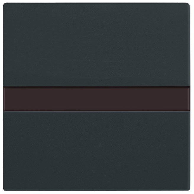 Busch-Komfortschalter flex Bedienelement mit Orientierungslicht anthrazit 