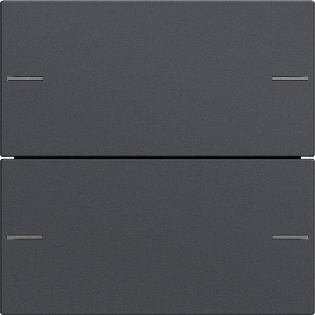 Wippenset 2-fach für Tastsensor 4 System 55 Anthrazit 