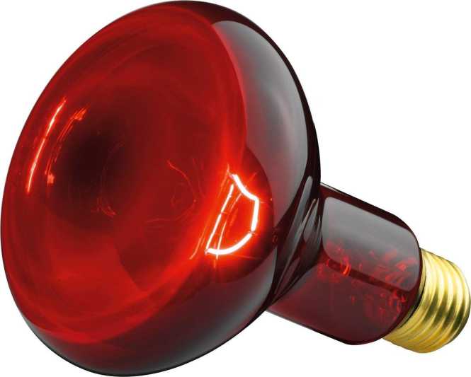Infrarotlampe R95 230V IR100 100W 