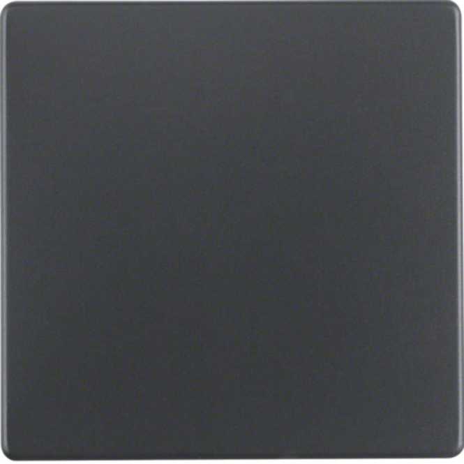 Wippe Berker Q.1/Q.3 schwarz matt lackiert- für Wippschalter Aus/Wechsel 