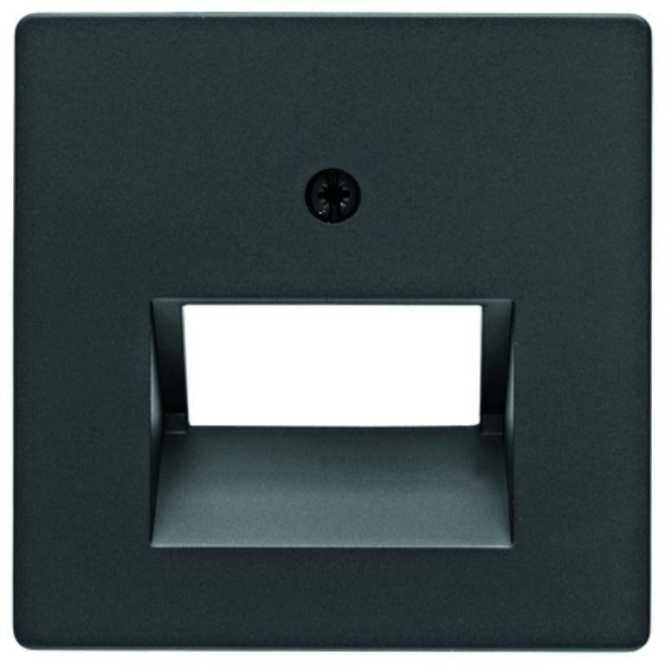 Zentralstück für Datendose 2fach schwarz matt lackiert 