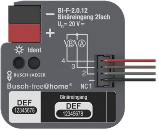 Binäreingang 2fach UP mit Kontaktabfragespannung 