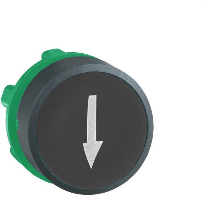 Drucktaster mit PFEIL ZB5-AA335 