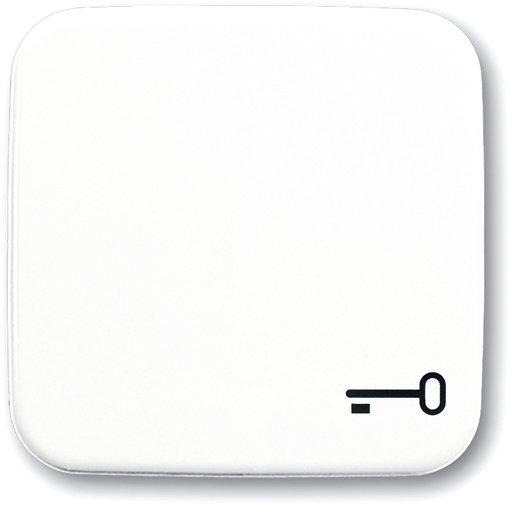 Wippe für Unterputz Taster Symbol Schlüssel alpinweiß 