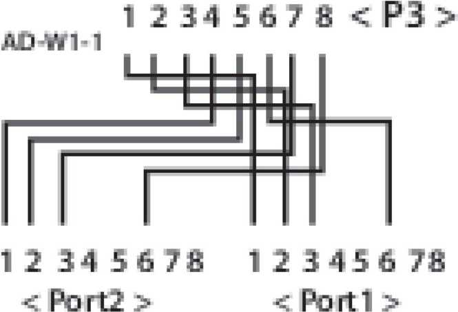 T-Adapter Kat.5e 2x10/100BaseT für Cablesharing 
