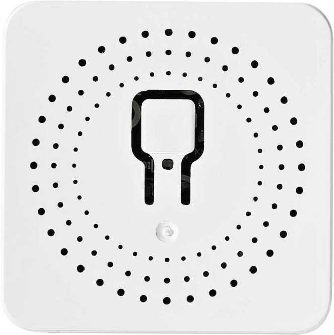 SmartLife Power Switch Wi-Fi 3680 W 