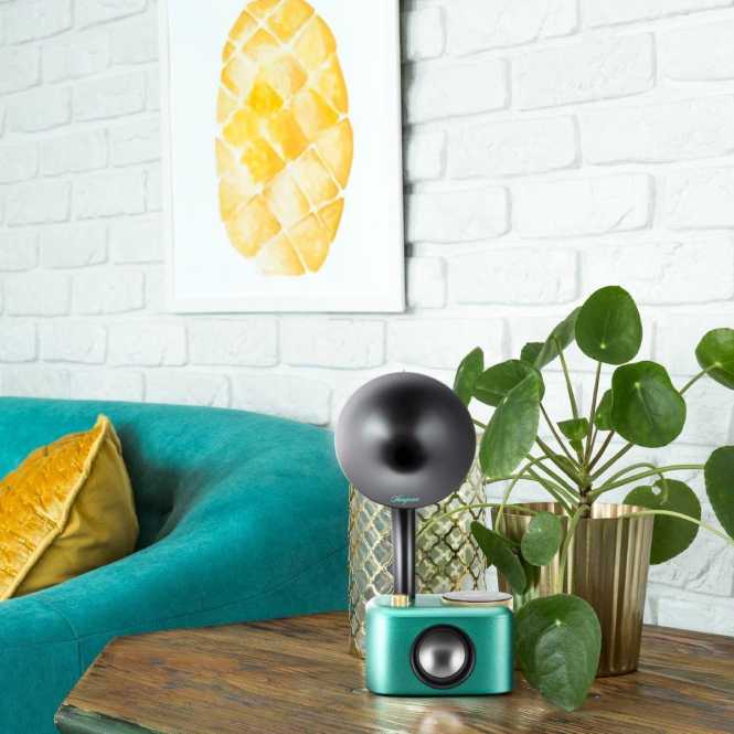 Radio CP-100D Gramophone Design Bluetooth DAB+ schwarz / grün 